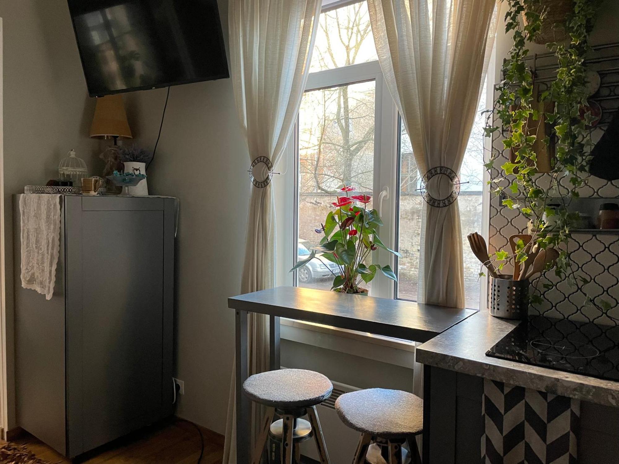 Pristine 1Br Apt In City Center W/ Patio And Parking Рига Екстер'єр фото